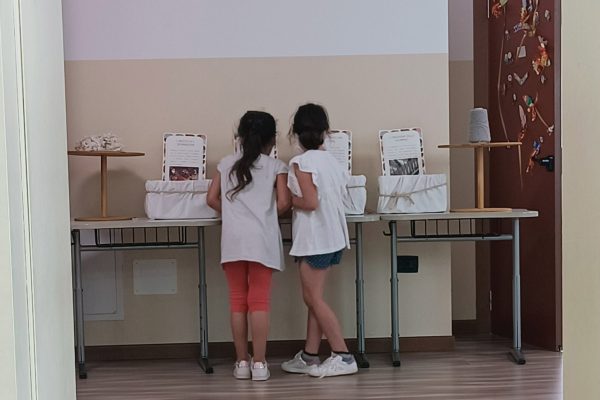 gallery-raccolta-vezzano-6